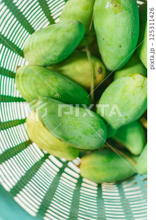 Mango collected in a crate. 125311426