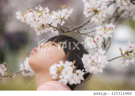満開の立岡自然公園で桜に顔をうずめる女の子 125311460