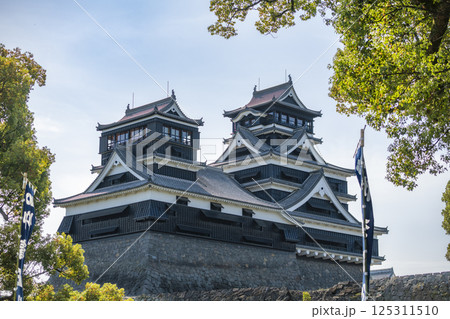 加藤神社から望む雄大な熊本城の天守閣 加藤神社から望む雄大な熊本城の天守閣 125311510