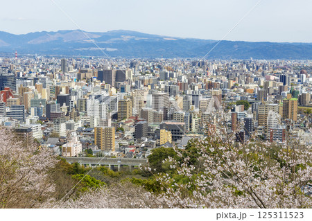 桜咲く花岡山公園から望む熊本市街地 桜咲く花岡山公園から望む熊本市街地 125311523