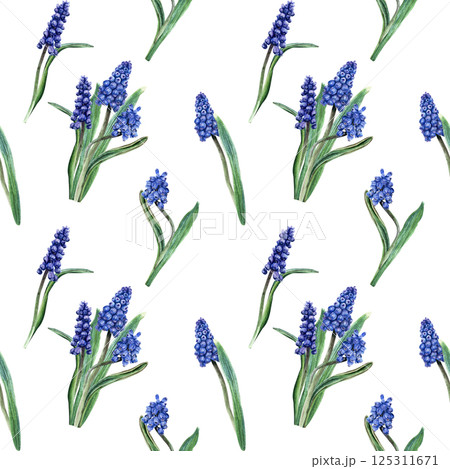Seamless, repeat pattern with blue grape hyacinth, muscari flowers. Hand drawn watercolor illustration. For wrapping wallpaper fabric textile 125311671
