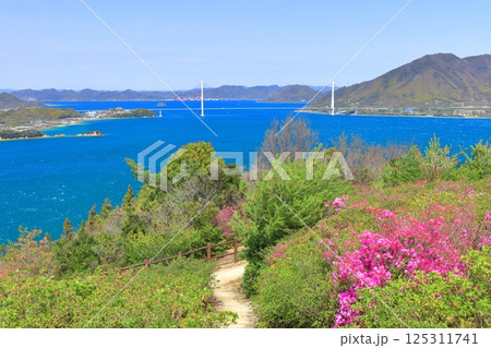 【愛媛県】開山公園のツツジと多々良大橋（しまなみ海道） 125311741