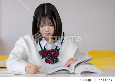 勉強する女子高生 勉強する女子高生 125311773