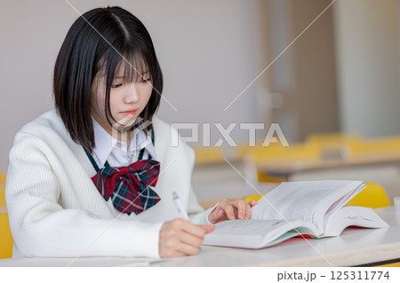 勉強する女子生徒 勉強する女子生徒 125311774