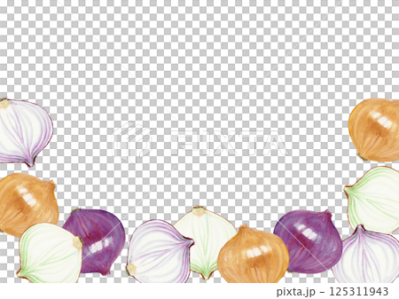 Onion vegetable background frame watercolor illustration Onion vegetable background frame watercolor illustration 125311943