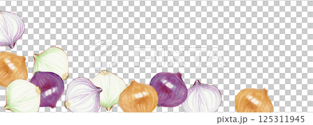 洋蔥蔬菜背景框水平水彩插圖 125311945