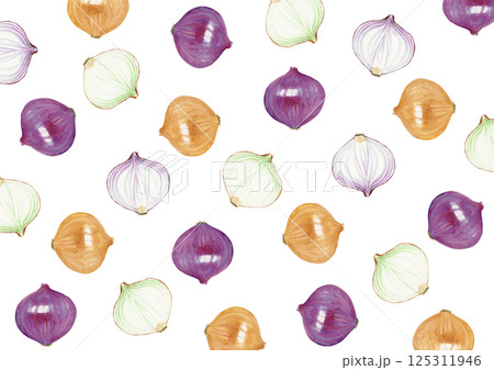 玉ねぎ 野菜　背景 模様　水彩 イラスト 125311946