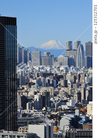 Cityscape View of Tokyo with Mount Fuji in the Background Dec 9 2024 Cityscape View of Tokyo with Mount Fuji in the Background Dec 9 2024 125312701