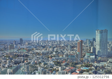 Panoramic View of Tokyo Cityscape with Mount Fuji, Tokyo Dec 9 2024 125312756