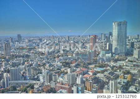 Panoramic View of Tokyo Cityscape with Mount Fuji, Tokyo Dec 9 2024 Panoramic View of Tokyo Cityscape with Mount Fuji, Tokyo Dec 9 2024 125312760