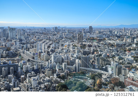 Panoramic Cityscape With Dramatic Sky and Modern Buildings, Tokyo Dec 9 2024 125312761