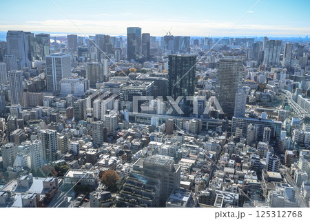 Tokyo Cityscape Featuring High-Rise Buildings and Urban Dec 9 2024 125312768