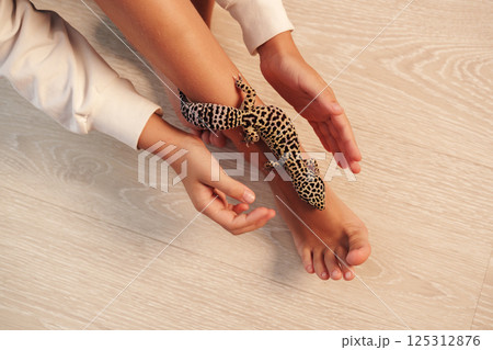 Child gently interacts with a pet leopard gecko in a cozy indoor setting during the daytime Child gently interacts with a pet leopard gecko in a cozy indoor setting during the daytime 125312876