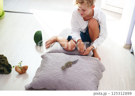 Young boy plays with a gecko on a cushion in a bright and cheerful indoor room during daytime Young boy plays with a gecko on a cushion in a bright and cheerful indoor room during daytime 125312899