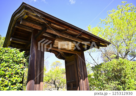 有楽苑（愛知県犬山市）にある「含翠門」 125312930