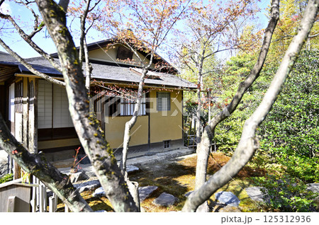 有楽苑（愛知県犬山市）にある国宝「如庵」 125312936