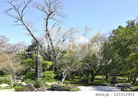 有楽苑（愛知県犬山市）内に建つ「観心寺旧蔵_十三重層塔」 125312953