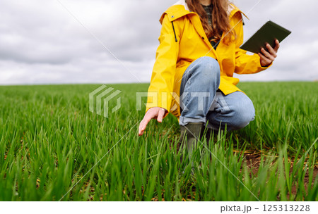 Innovative smart farm system technology, agricultural management. Farmer with tablet in green field 125313228
