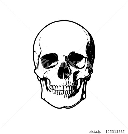 Illustration of a skull. Design element for poster, card, banner, sign. Vector illustration Illustration of a skull. Design element for poster, card, banner, sign. Vector illustration 125313285