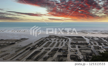 oyster farm in Cancale, brittany, france 125313533