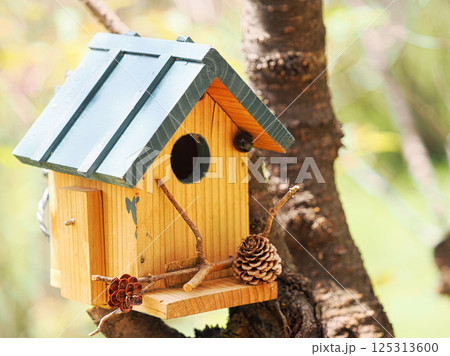 森の中の鳥の巣箱 125313600