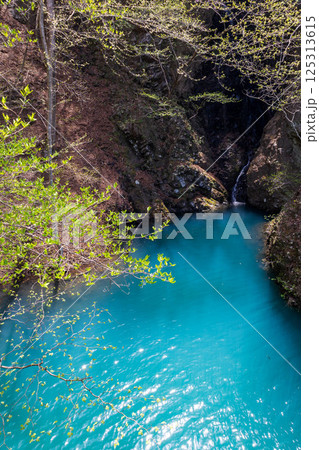 春の八ッ場あがつま湖　群馬県八ッ場ダム 125313615
