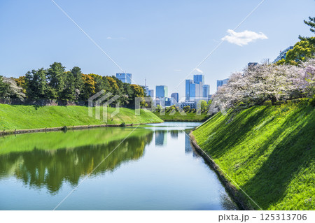春の千鳥ヶ淵　水面に映る都市の風景【東京都・千代田区】 125313706