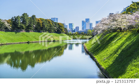春の千鳥ヶ淵 水面に映る都市の風景【東京都・千代田区】 春の千鳥ヶ淵 水面に映る都市の風景【東京都・千代田区】 125313707
