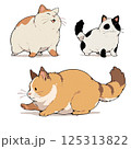 お座りする猫 125313822