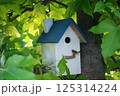 鳥　巣箱 125314224