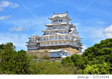 姫路城　白鷺城　国宝　世界文化遺産　兵庫県姫路市 125314248