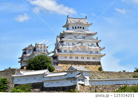 姫路城　白鷺城　国宝　世界文化遺産　兵庫県姫路市 125314251