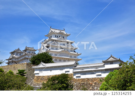 姫路城 白鷺城 国宝 世界文化遺産 兵庫県姫路市 姫路城 白鷺城 国宝 世界文化遺産 兵庫県姫路市 125314255