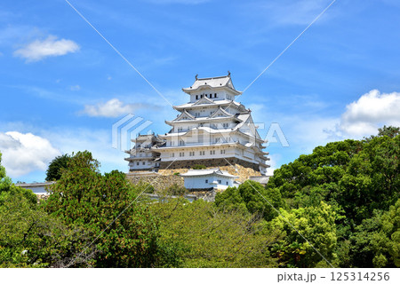 姫路城 白鷺城 国宝 世界文化遺産 兵庫県姫路市 姫路城 白鷺城 国宝 世界文化遺産 兵庫県姫路市 125314256