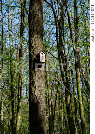 Old wooden birdhouse on a tree in the forest with a round entrance. Caring for birds. Ukraine. Old wooden birdhouse on a tree in the forest with a round entrance. Caring for birds. Ukraine. 125314871