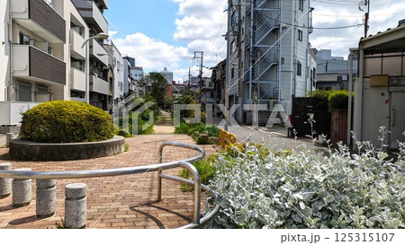 大阪市福島区の野田緑道 125315107