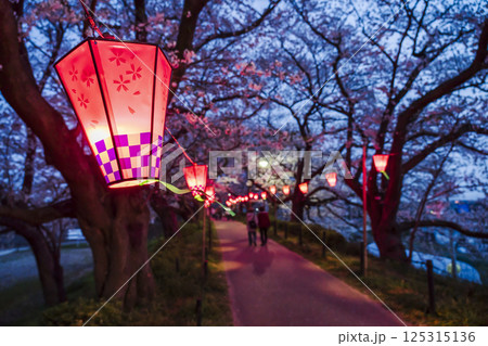 幸手権現堂桜堤の「幸手桜まつり」 ライトアップされた桜堤の灯篭【埼玉県・幸手市】 幸手権現堂桜堤の「幸手桜まつり」 ライトアップされた桜堤の灯篭【埼玉県・幸手市】 125315136
