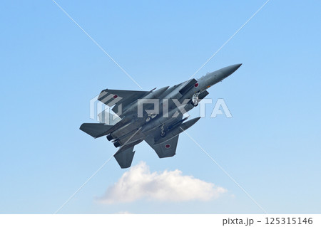 航空自衛隊　F-15J　新千歳空港 125315146
