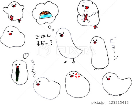 ゆるい白文鳥たちのシンプルな線画セット ゆるい白文鳥たちのシンプルな線画セット 125315413