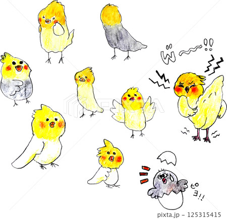 ゆるい可愛いオカメインコたち ゆるい可愛いオカメインコたち 125315415