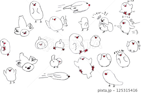 色々な表情の白い文鳥 125315416