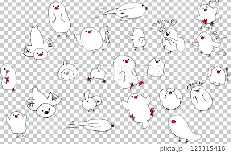 色々な表情の白い文鳥 125315416
