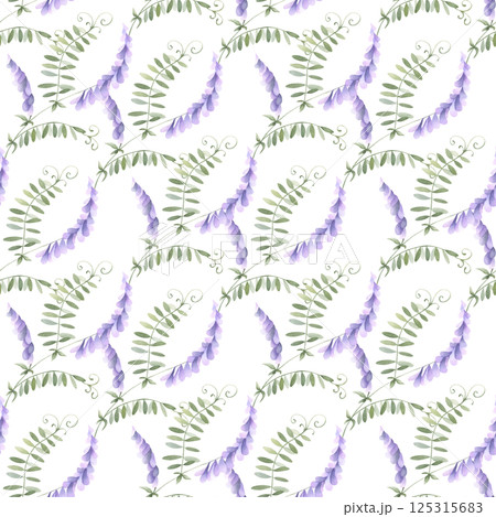 Wildflowers lilac mouse pea. Seamless floral watercolor pattern of isolated from background. Hand drawn sketch meadow violet flowers for fabric print, textile, wrapping. Endlessly repeating ornament. Wildflowers lilac mouse pea. Seamless floral watercolor pattern of isolated from background. Hand drawn sketch meadow violet flowers for fabric print, textile, wrapping. Endlessly repeating ornament. 125315683