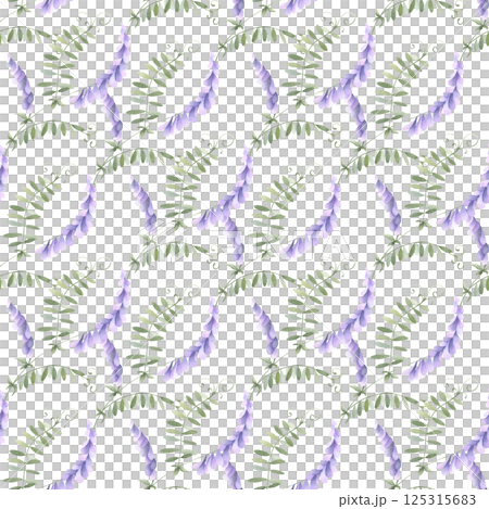 Wildflowers lilac mouse pea. Seamless floral watercolor pattern of isolated from background. Hand drawn sketch meadow violet flowers for fabric print, textile, wrapping. Endlessly repeating ornament. Wildflowers lilac mouse pea. Seamless floral watercolor pattern of isolated from background. Hand drawn sketch meadow violet flowers for fabric print, textile, wrapping. Endlessly repeating ornament. 125315683