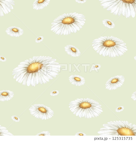 Wildflowers chamomile. Seamless floral watercolor pattern on light green background. Hand drawn sketch meadow yellow-white flowers for fabric print, textile, packaging. Endlessly repeating ornament. Wildflowers chamomile. Seamless floral watercolor pattern on light green background. Hand drawn sketch meadow yellow-white flowers for fabric print, textile, packaging. Endlessly repeating ornament. 125315735