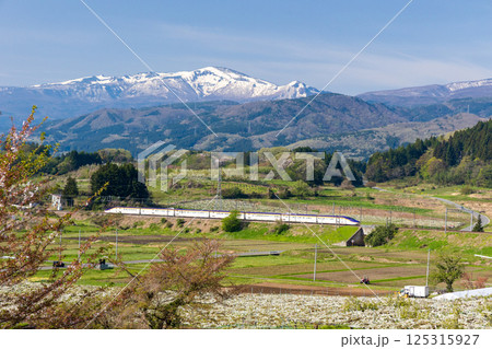梨畑を走る山形新幹線つばさ 梨畑を走る山形新幹線つばさ 125315927