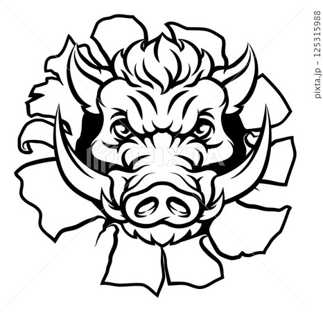 Boar Wild Hog Razorback Warthog Pig Sports Mascot Boar Wild Hog Razorback Warthog Pig Sports Mascot 125315988