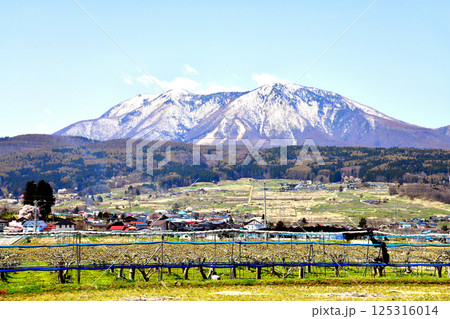 長野県飯綱町牟礼より飯縄山(飯綱山)、霊仙寺山方面を望む(長野県飯綱町)【2025.4】 長野県飯綱町牟礼より飯縄山(飯綱山)、霊仙寺山方面を望む(長野県飯綱町)【2025.4】 125316014