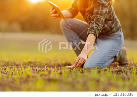 Farmer woman in boots checks the quality of the soil before sowing in her hands with digital tablet. 125316339