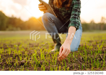 Farmer woman in boots checks the quality of the soil before sowing in her hands with digital tablet. 125316340